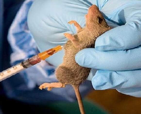 Edo State Confirms 132 Cases Of Lassa Fever, Death Toll Rises To 16