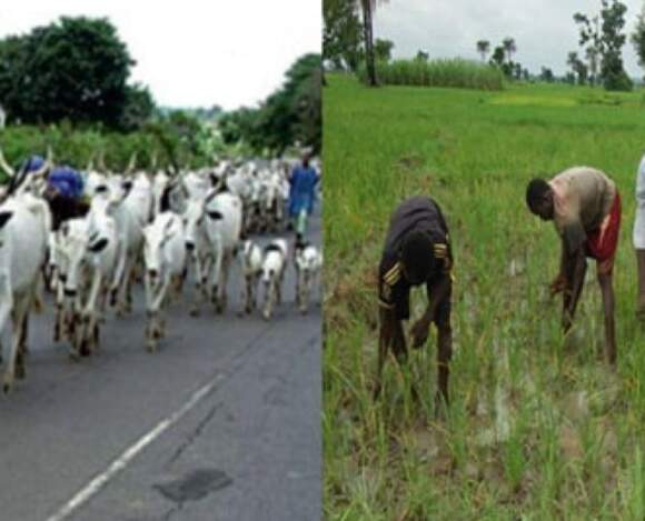 Herdsmen Crisis In Taraba Claims 20 Lives, Two Nigerian Immigration Officers, Soldier