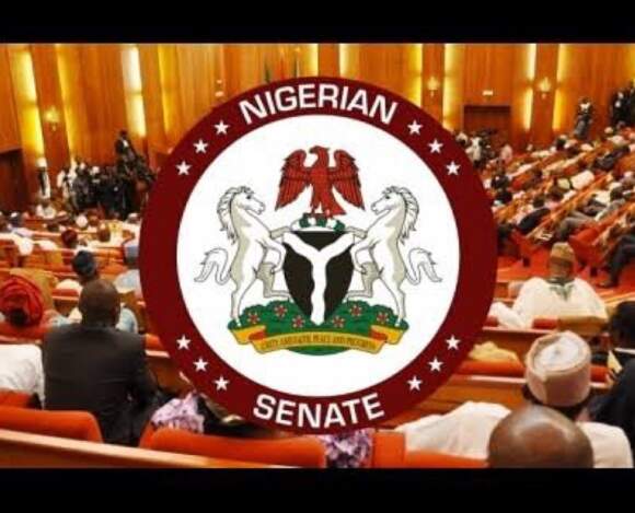 Senate passes N28.7 trillion as 2024 appropriation bill, increases it by N1.2 trillion