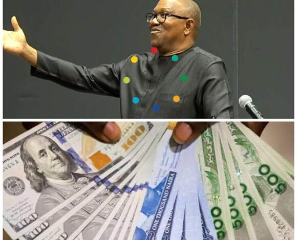 “Floating the Naira without adequate supply is like building a non-gated house in a crime-infested community – Peter Obi