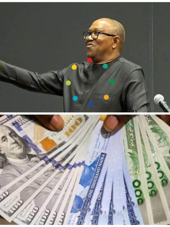 “Floating the Naira without adequate supply is like building a non-gated house in a crime-infested community – Peter Obi